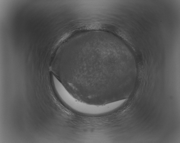 X0000067460681200604211541