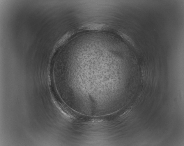 X0000067460682200604211541