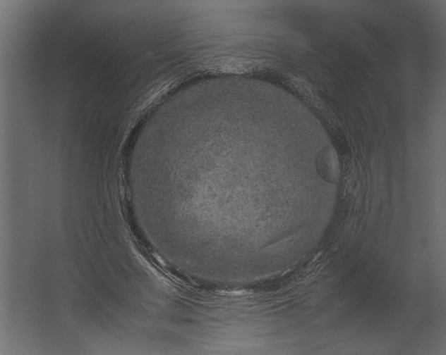 X0000067460683200604211541