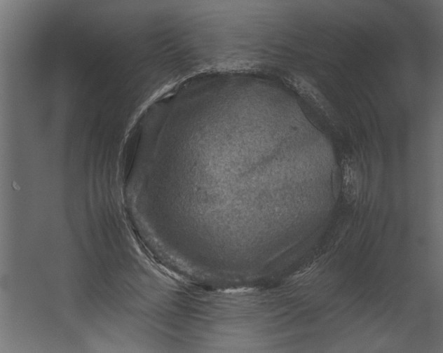 X0000067460684200604211541