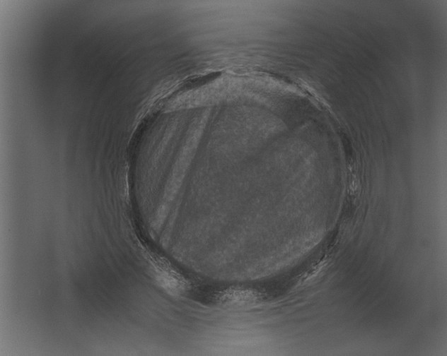 X0000067460685200604211541