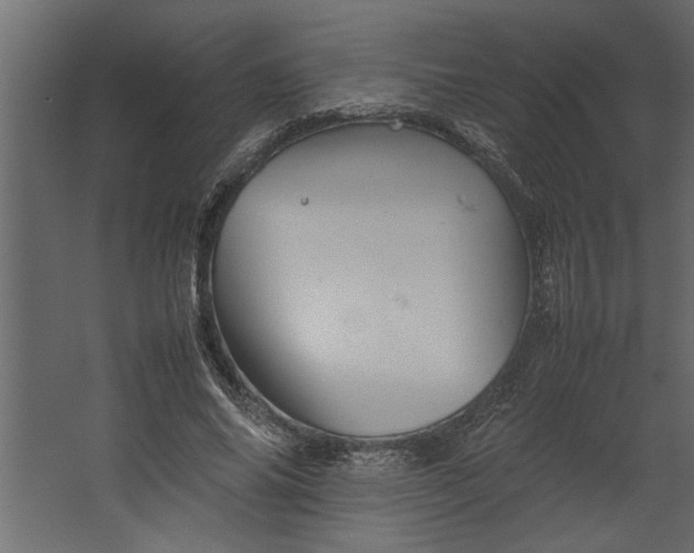 X0000067460686200604211541