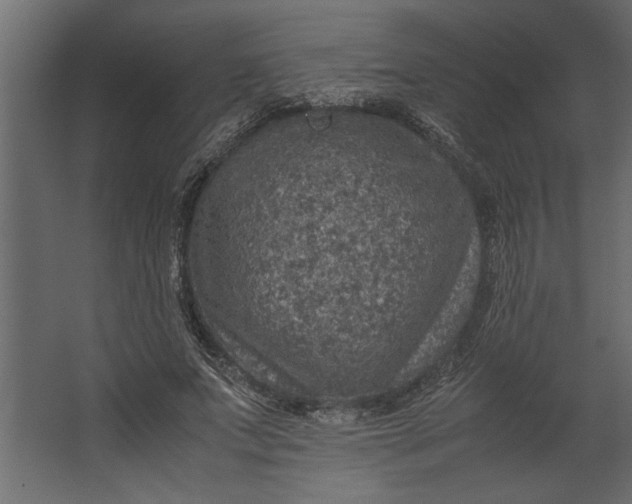 X0000067460687200604211541