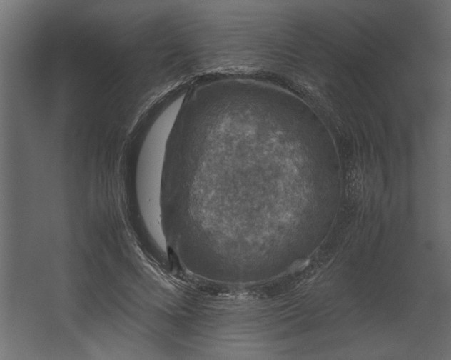 X0000067460688200604211541