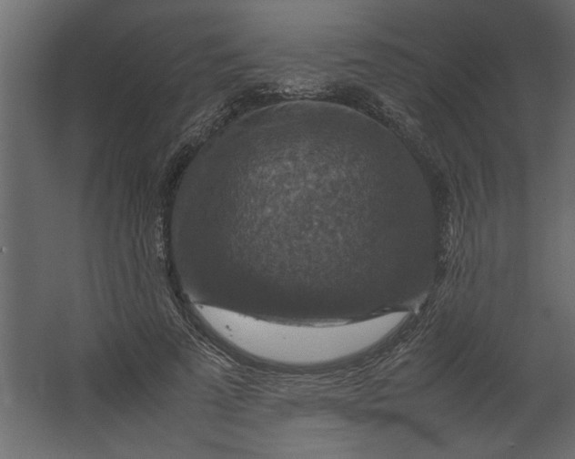 X0000067460689200604211541