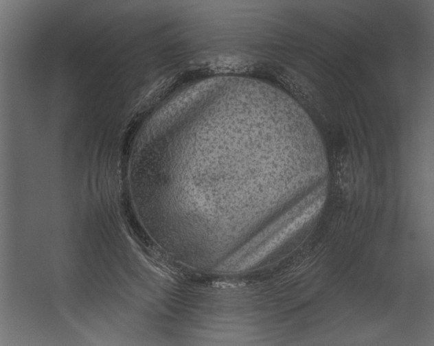 X0000067460690200604211541