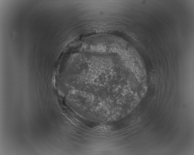 X0000067460691200604211541