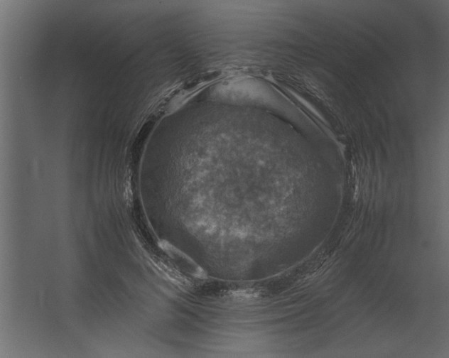 X0000067460692200604211541