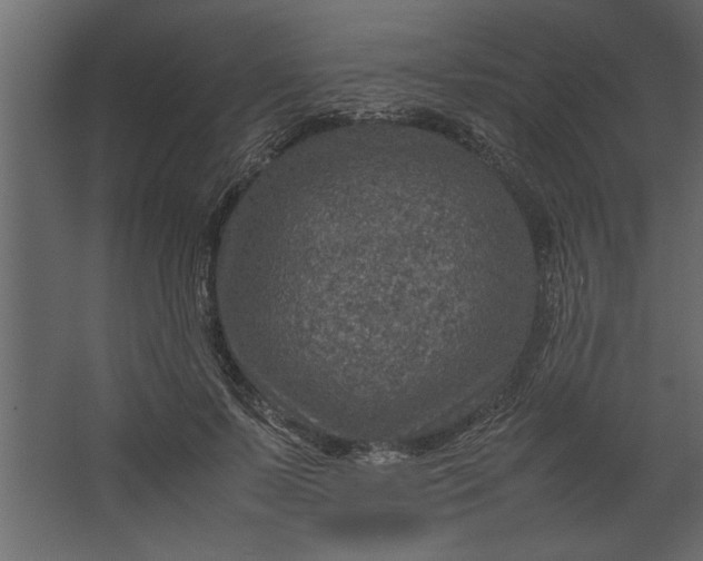 X0000067460695200604211541