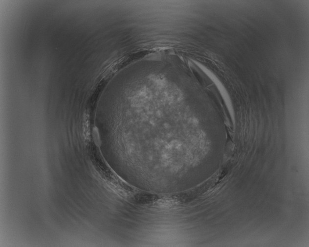 X0000067460696200604211541