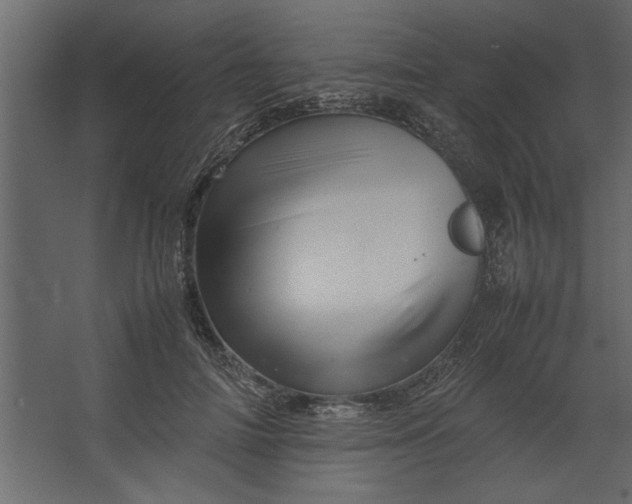 X0000067460698200604211541