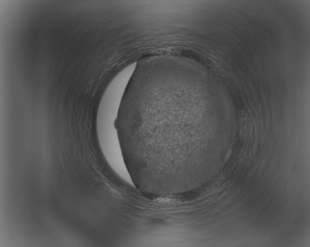 X0000067460699200604211541