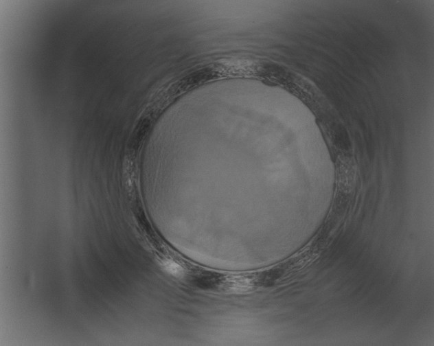 X0000067460701200604211541