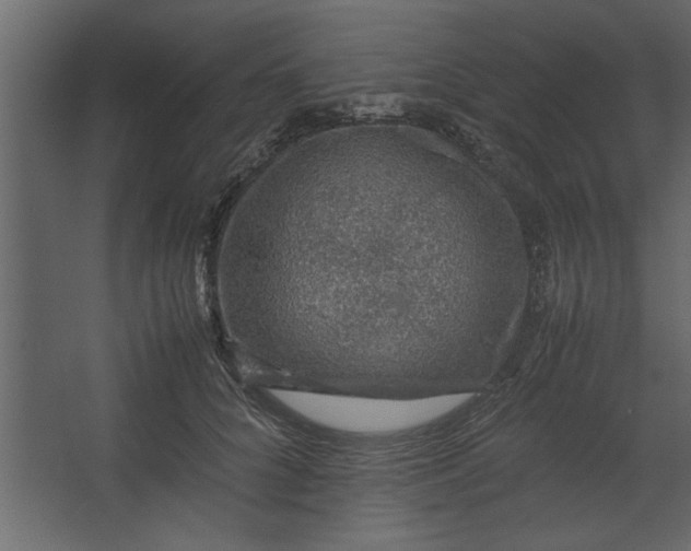 X0000067460704200604211541