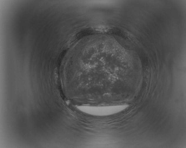 X0000067460707200604211541