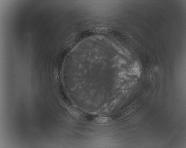 X0000067460711200604211541