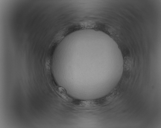 X0000067460713200604211541