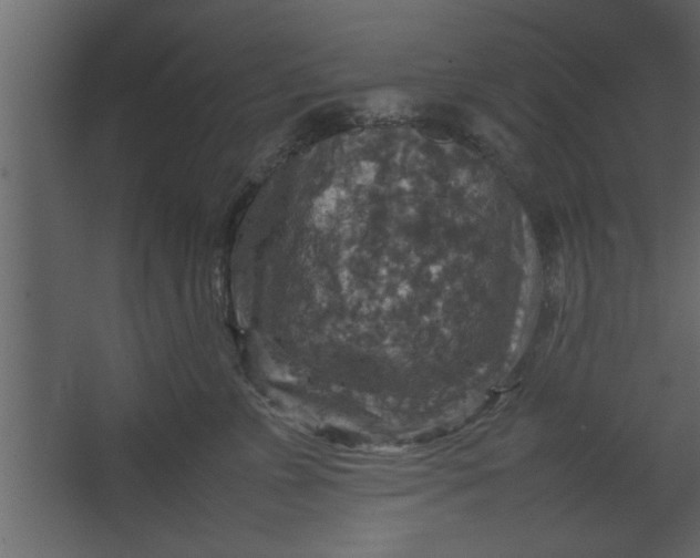 X0000067460715200604211541