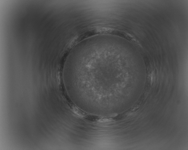 X0000067460716200604211541