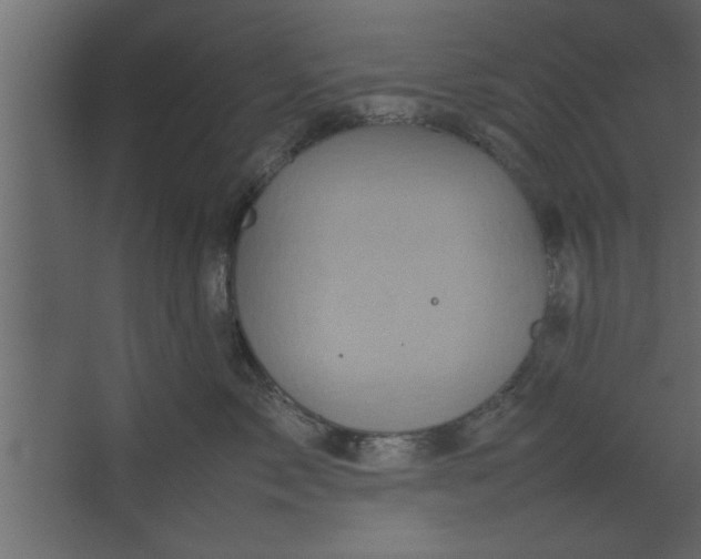 X0000067460717200604211541