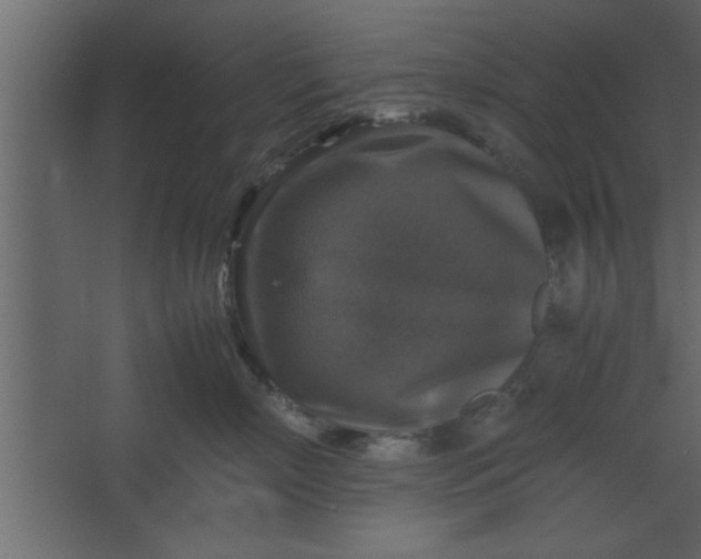 X0000067460718200604211541