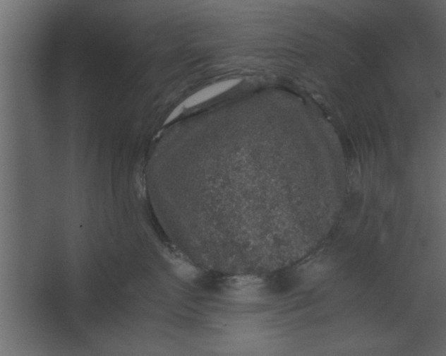 X0000067460719200604211541