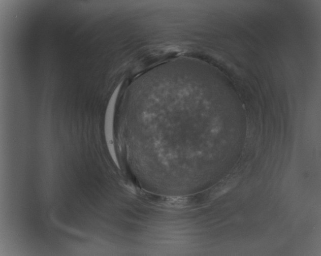 X0000067460720200604211541