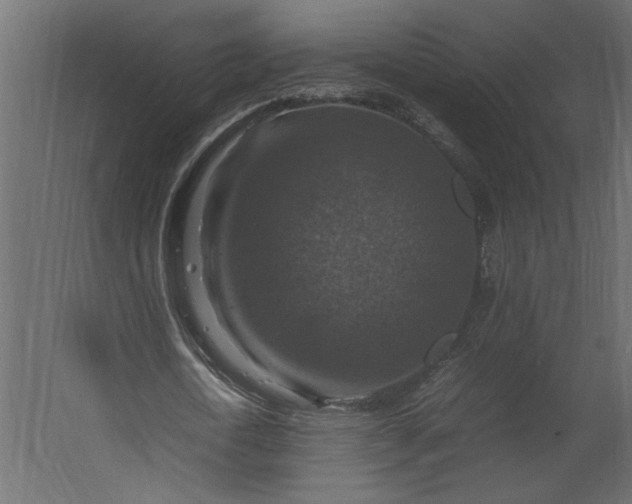 X0000067460722200604211540