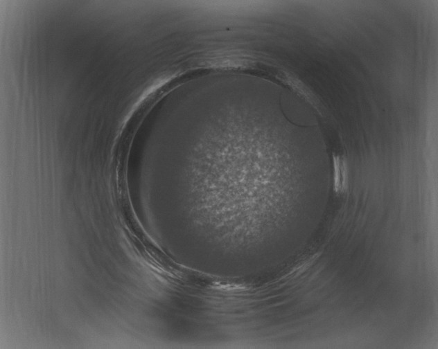 X0000067460723200604211540