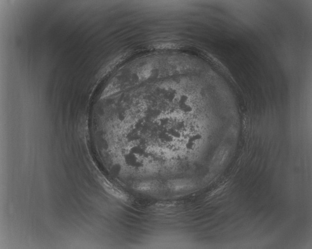 X0000067460725200604211540