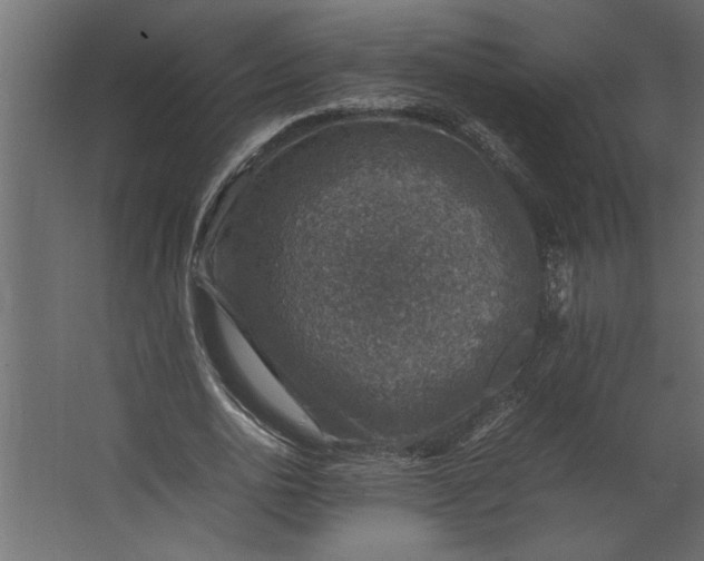 X0000067460726200604211540