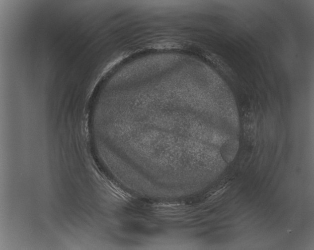 X0000067460727200604211540