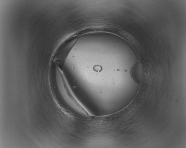 X0000067460728200604211540