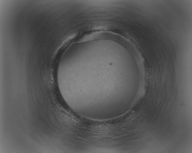 X0000067460731200604211540