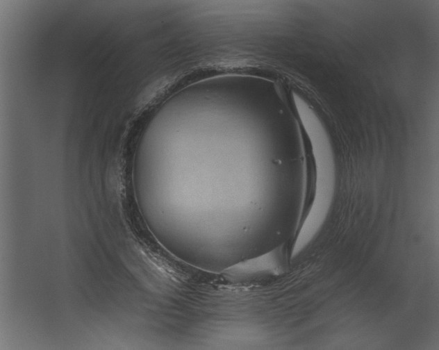 X0000067460732200604211540