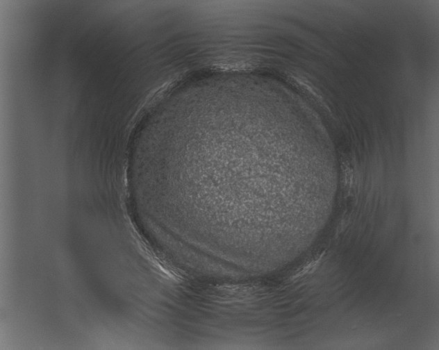 X0000067460733200604211540