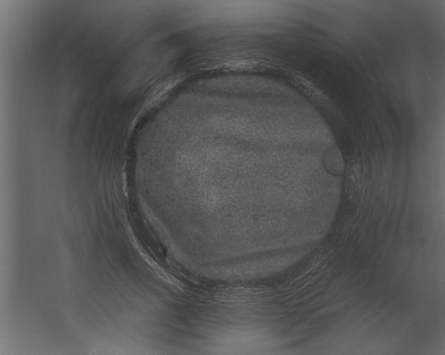 X0000067460734200604211540