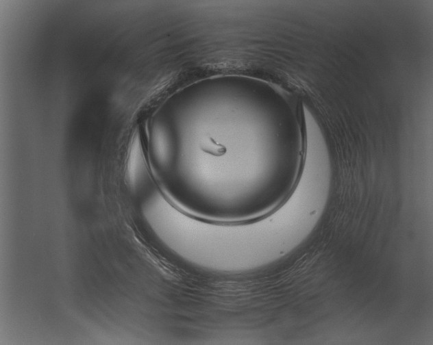 X0000067460735200604211540