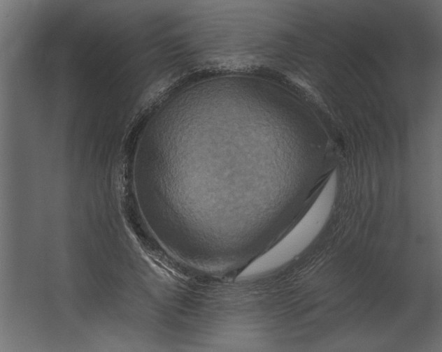 X0000067460736200604211540