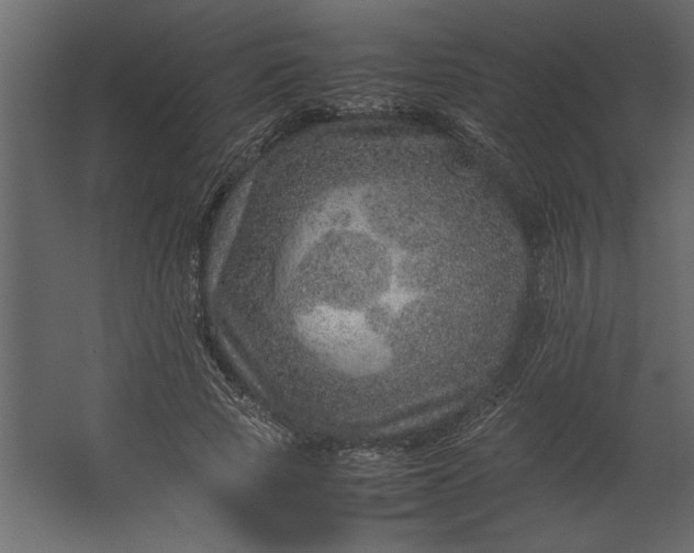 X0000067460737200604211540