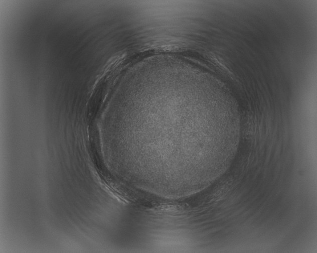 X0000067460738200604211540