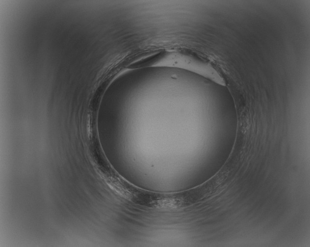 X0000067460740200604211540