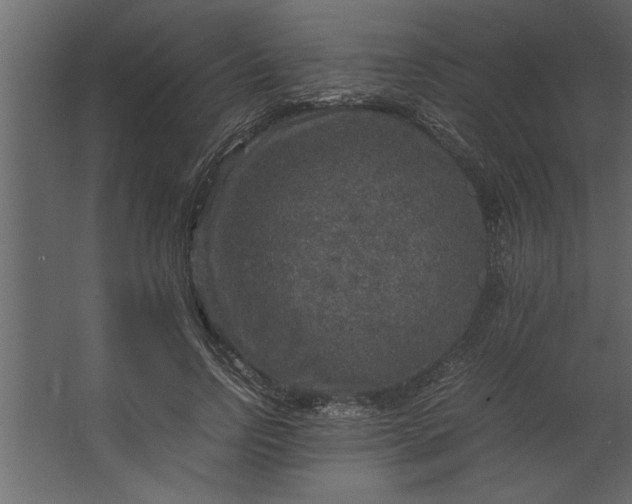 X0000067460742200604211540