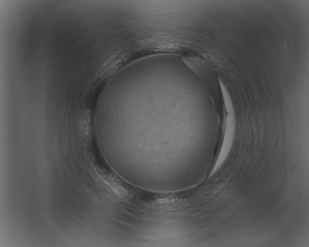 X0000067460744200604211540