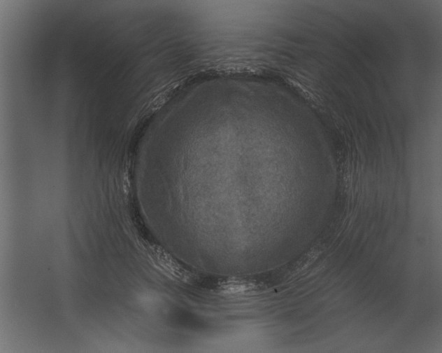 X0000067460746200604211540