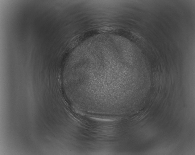 X0000067460749200604211540