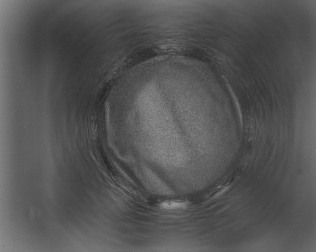 X0000067460751200604211540