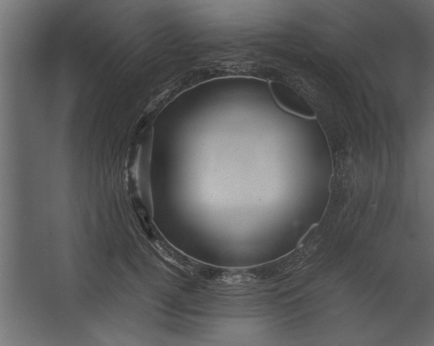 X0000067460752200604211540