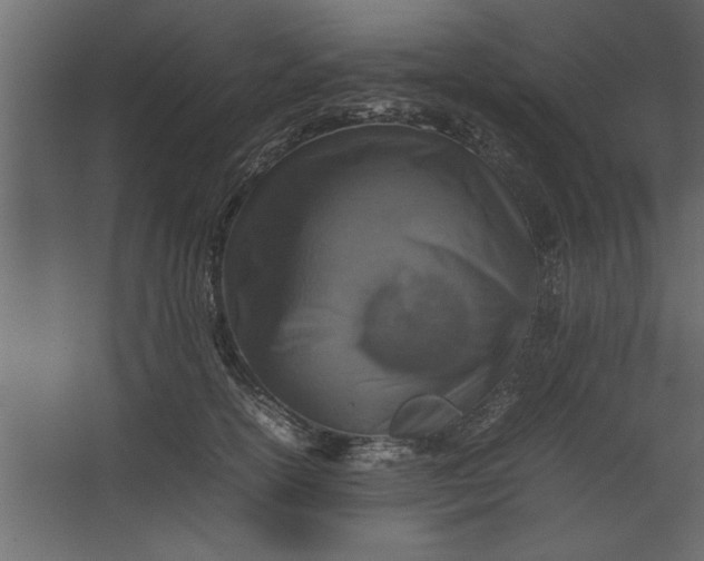 X0000067460754200604211541