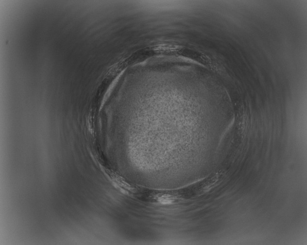 X0000067460755200604211541